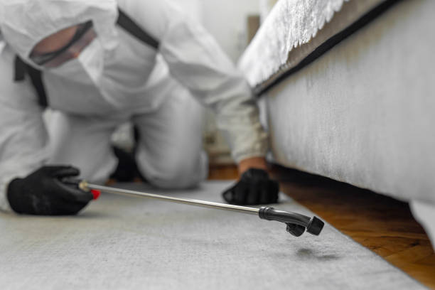 Professional Bed Bug Control technician working in Daleville, IN