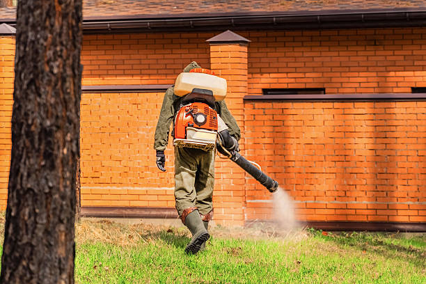Trusted Ant Control service in Daleville, IN - Nex Pest Control